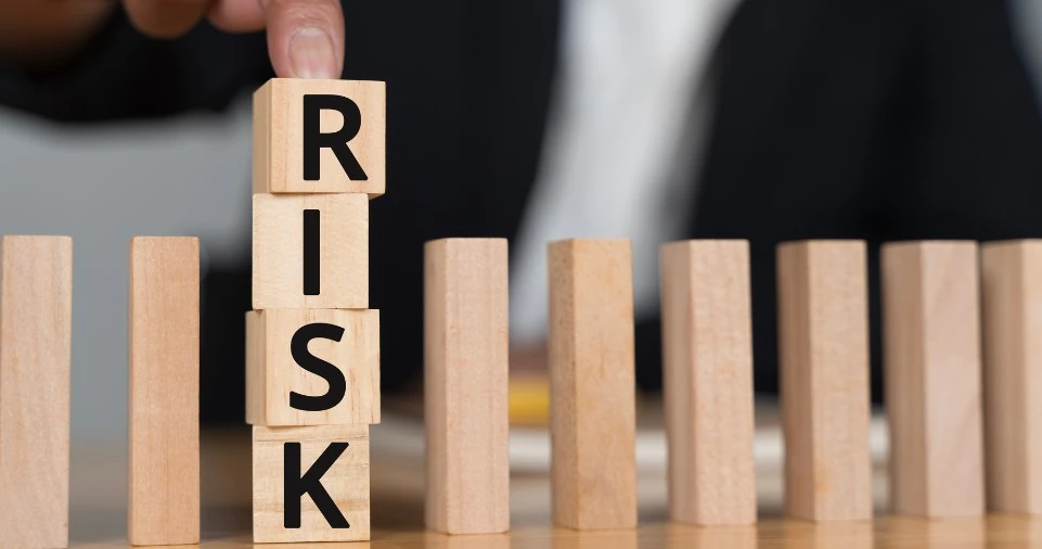 Risk Management and Mitigation