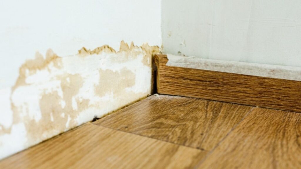 How to Detect Hidden Water Damage Before It’s Too Late