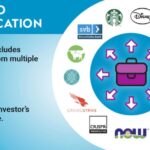 Diversification Strategies for Building Resilient Business Portfolios