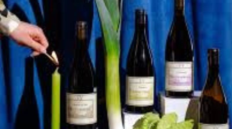 The Bottle Behind the Wine Why It’s More Than Just Glass
