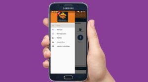 From Bollywood to Digital India: Rajasthan’s SSO Portal and Everyday Life