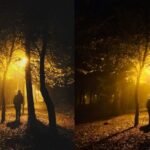 Filtering Digital Noise Without Losing Touch With the World