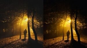 Filtering Digital Noise Without Losing Touch With the World